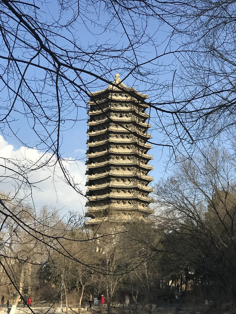 博雅塔，冬末枯枝间的十三层古塔，蓝天白云